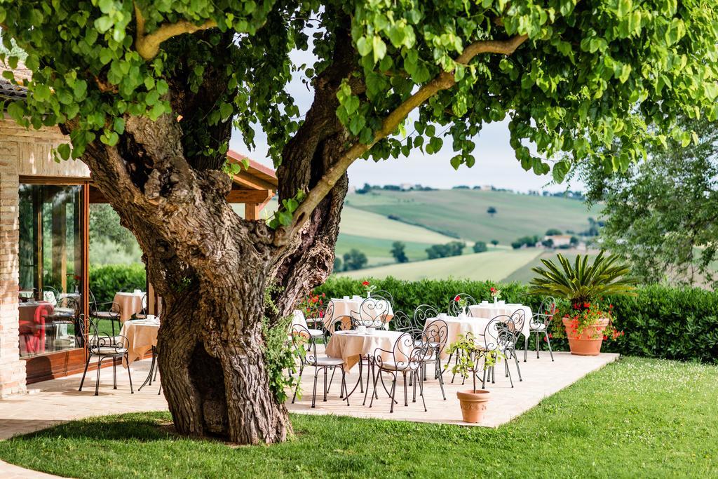 Апартаменти Poggio Antico Monte San Vito Екстер'єр фото